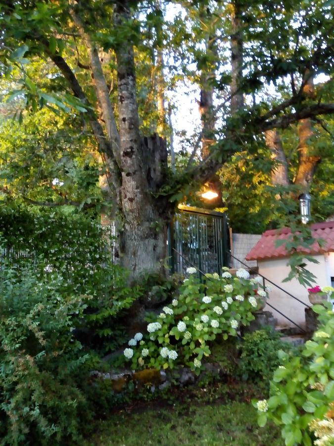 Bed and Breakfast Al Castagno Вико-Экуенсе Экстерьер фото